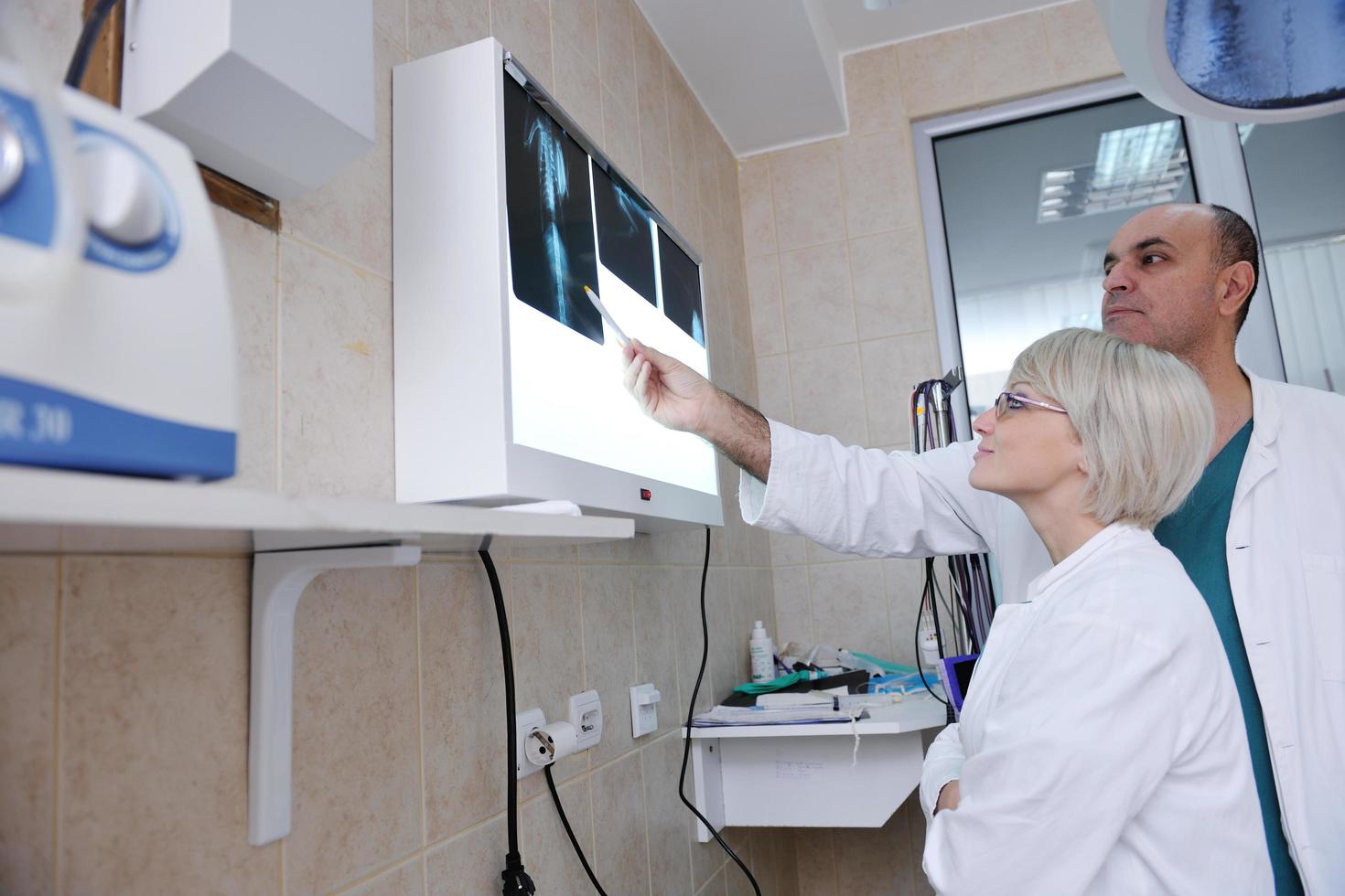 veterinarian and assistant in a small animal clinic photo