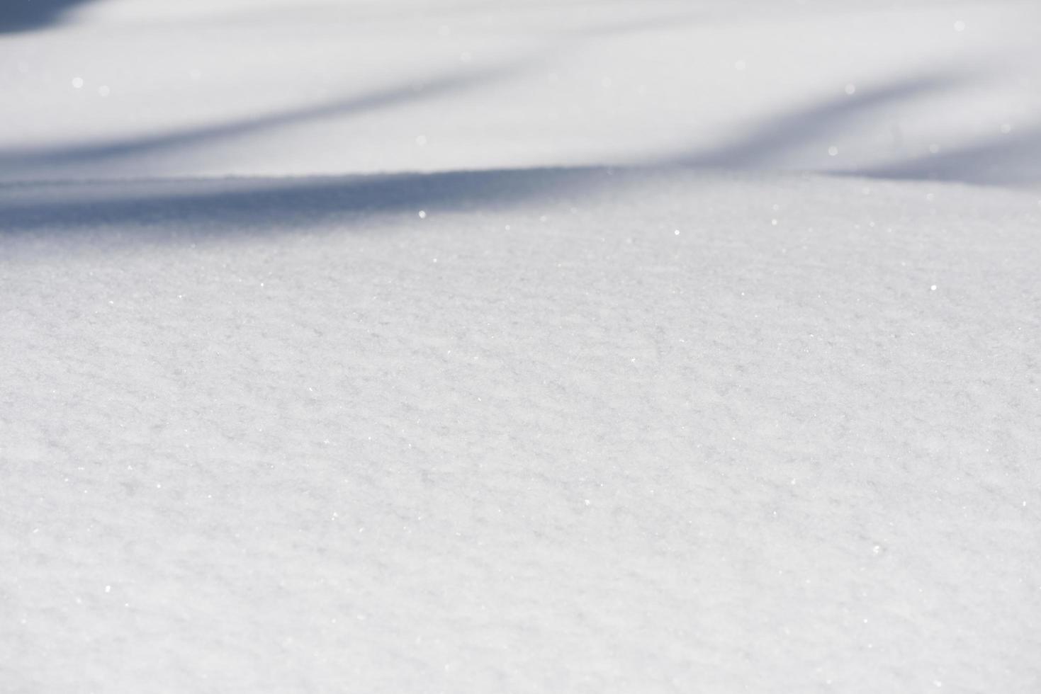 Winter snow background photo