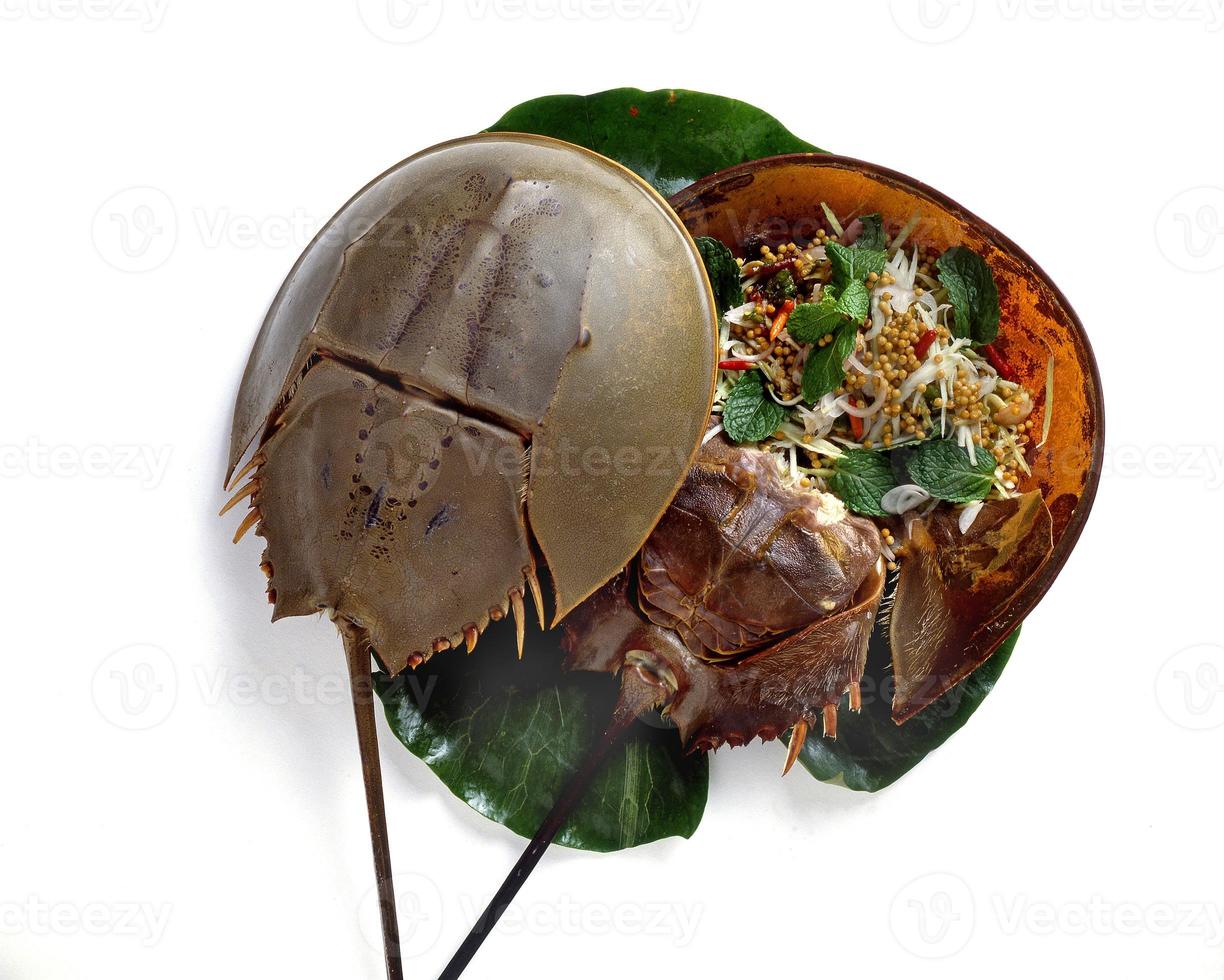 Thai SeaFood Horseshoe Crab photo