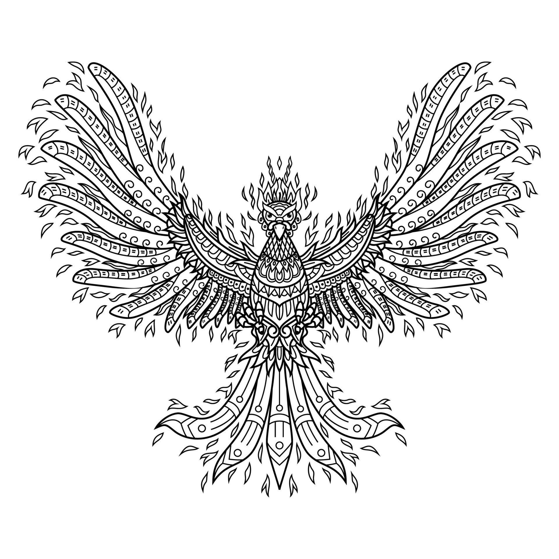 Phoenix line art 11613531 Vector Art at Vecteezy