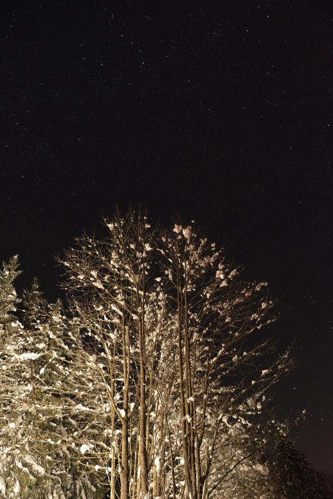 winter mountain landscape photo