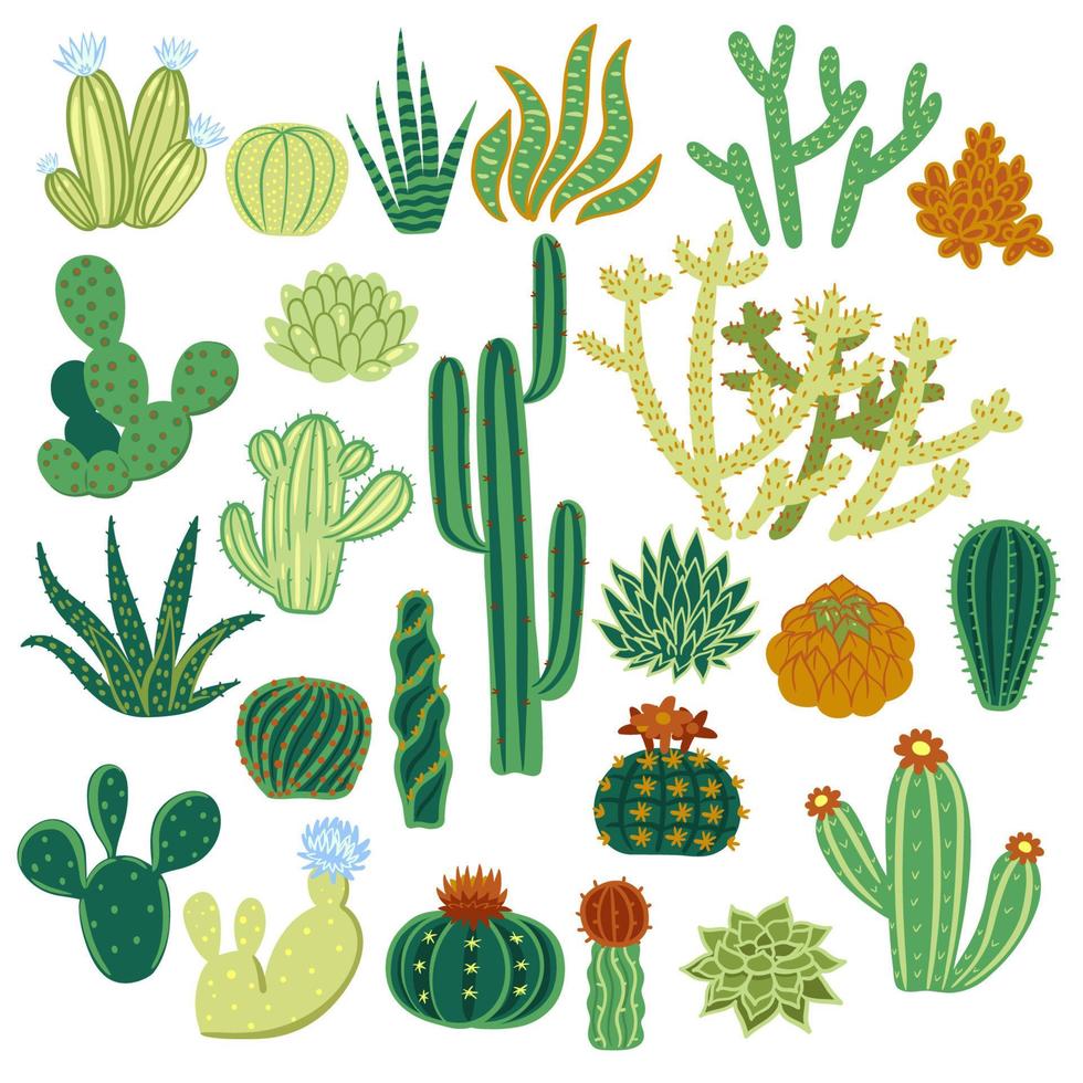 conjunto de cactus aislado sobre un fondo blanco. gráficos vectoriales vector