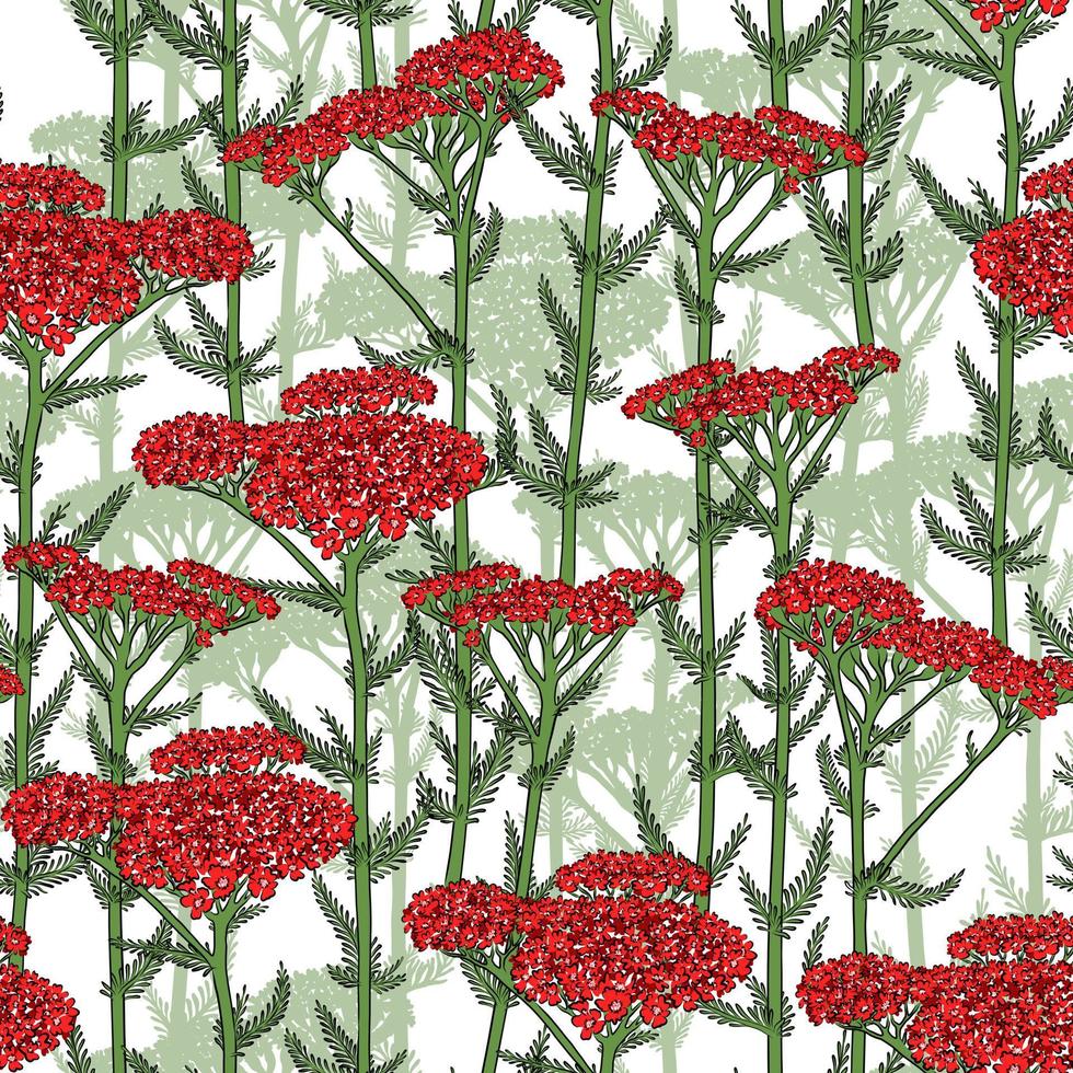 SEAMLESS WHITE VECTOR PATTERN WITH BLOOMING RED YARROW