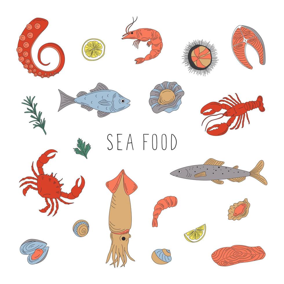conjunto de comida de mar. imágenes vectoriales planas dibujadas a mano para su diseño. vector
