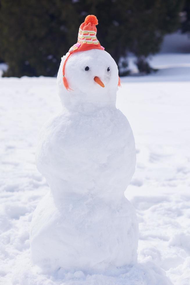 Winter snowman view photo