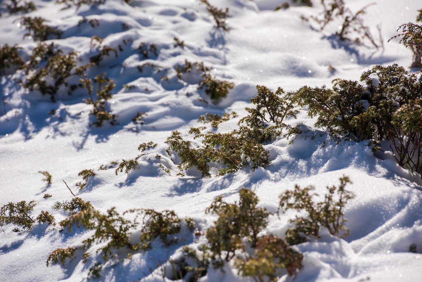 winter mountains view photo