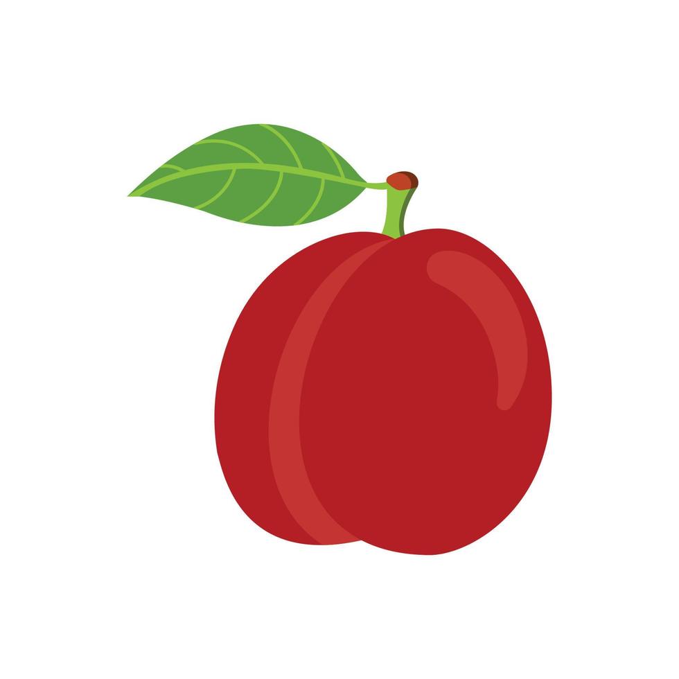 Peaches on a branch with leaves, isolated vector. vector