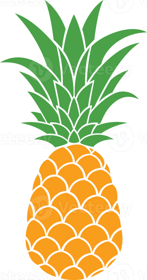 ananas frukt illustration png