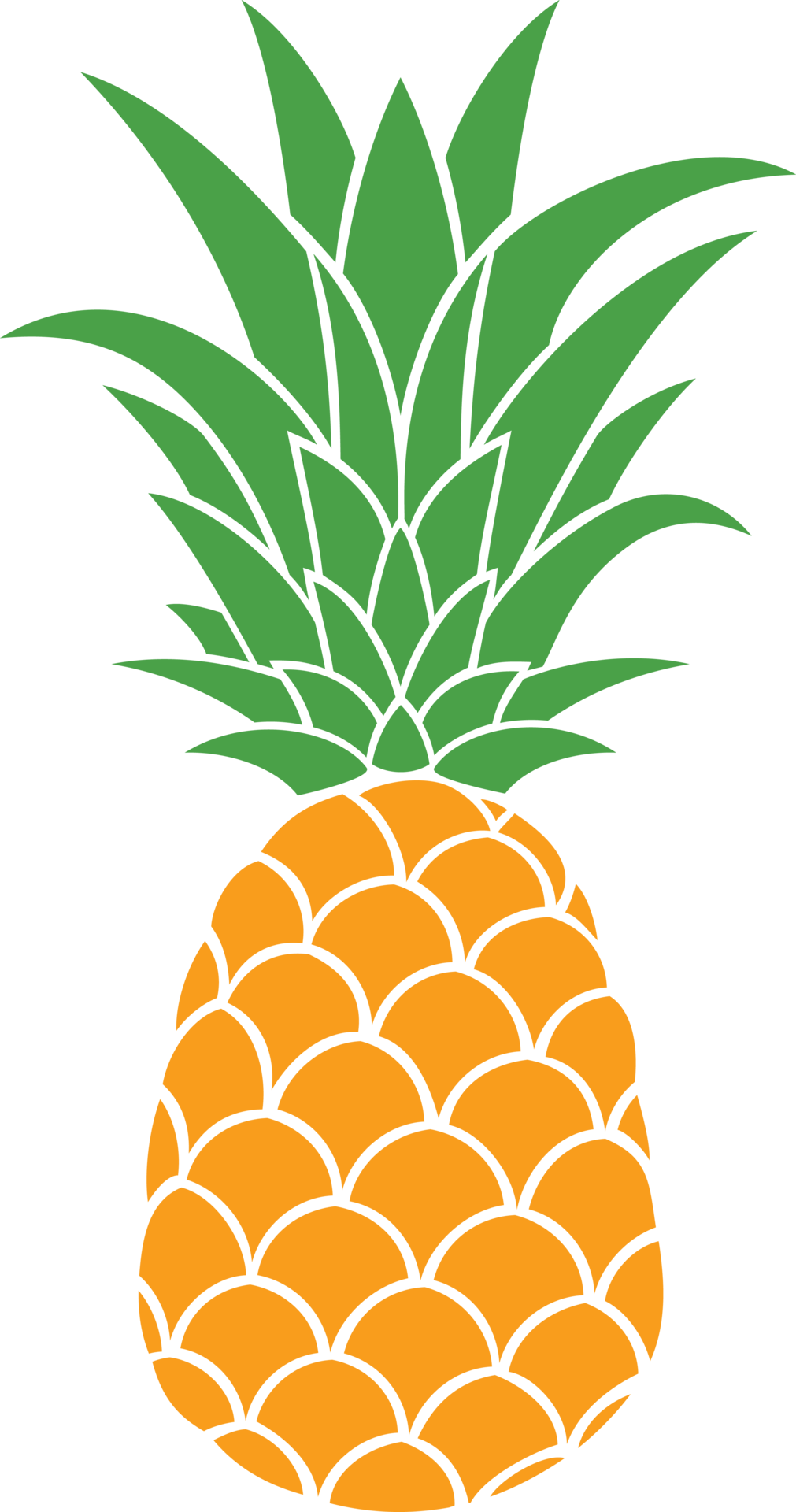 Pineapple Fruit Illustration 11617834 PNG