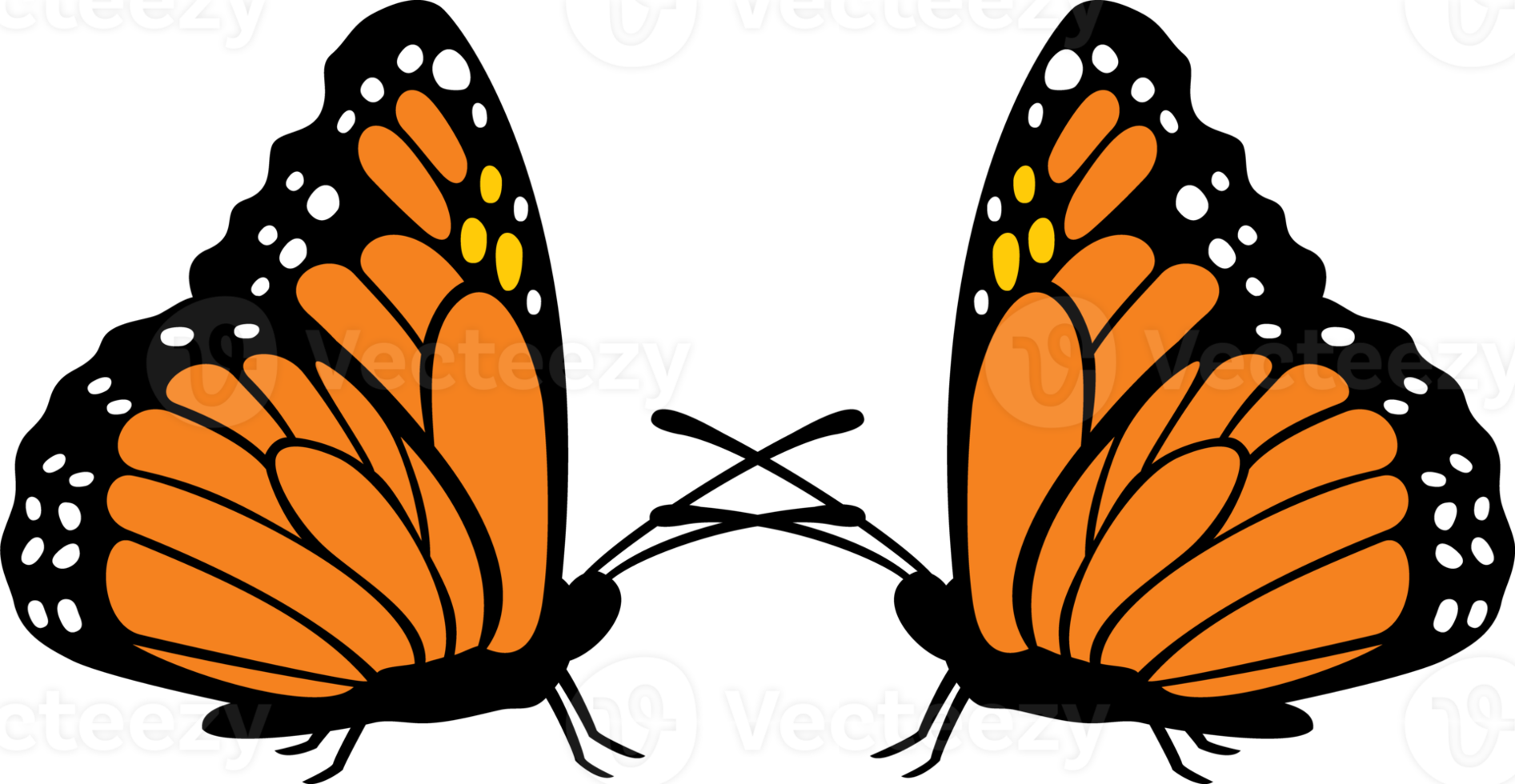 ilustração de duas borboletas png