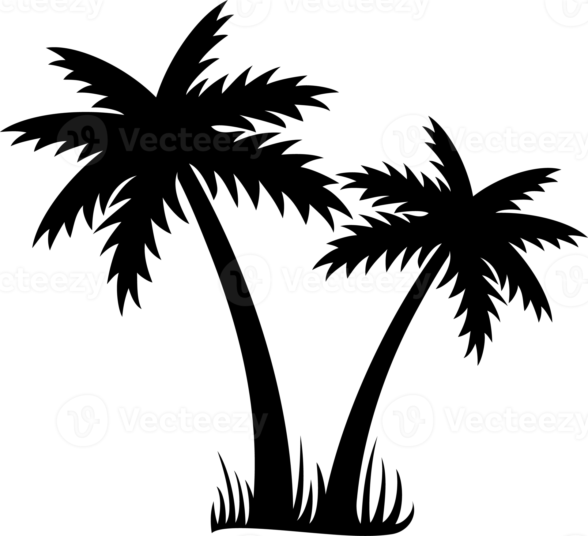 Two Palms Trees Illustration 11617895 PNG