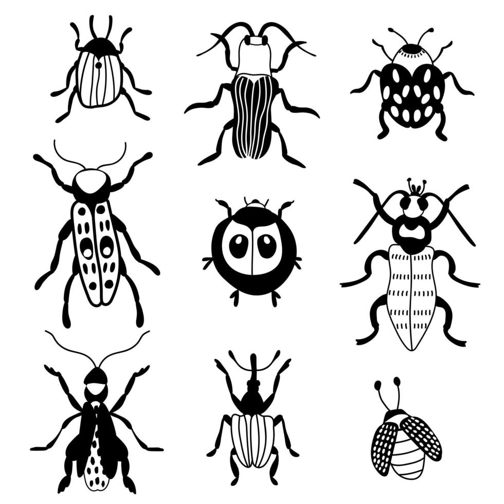 Set of black and white beetles. White background, isolate. Vector illustration.