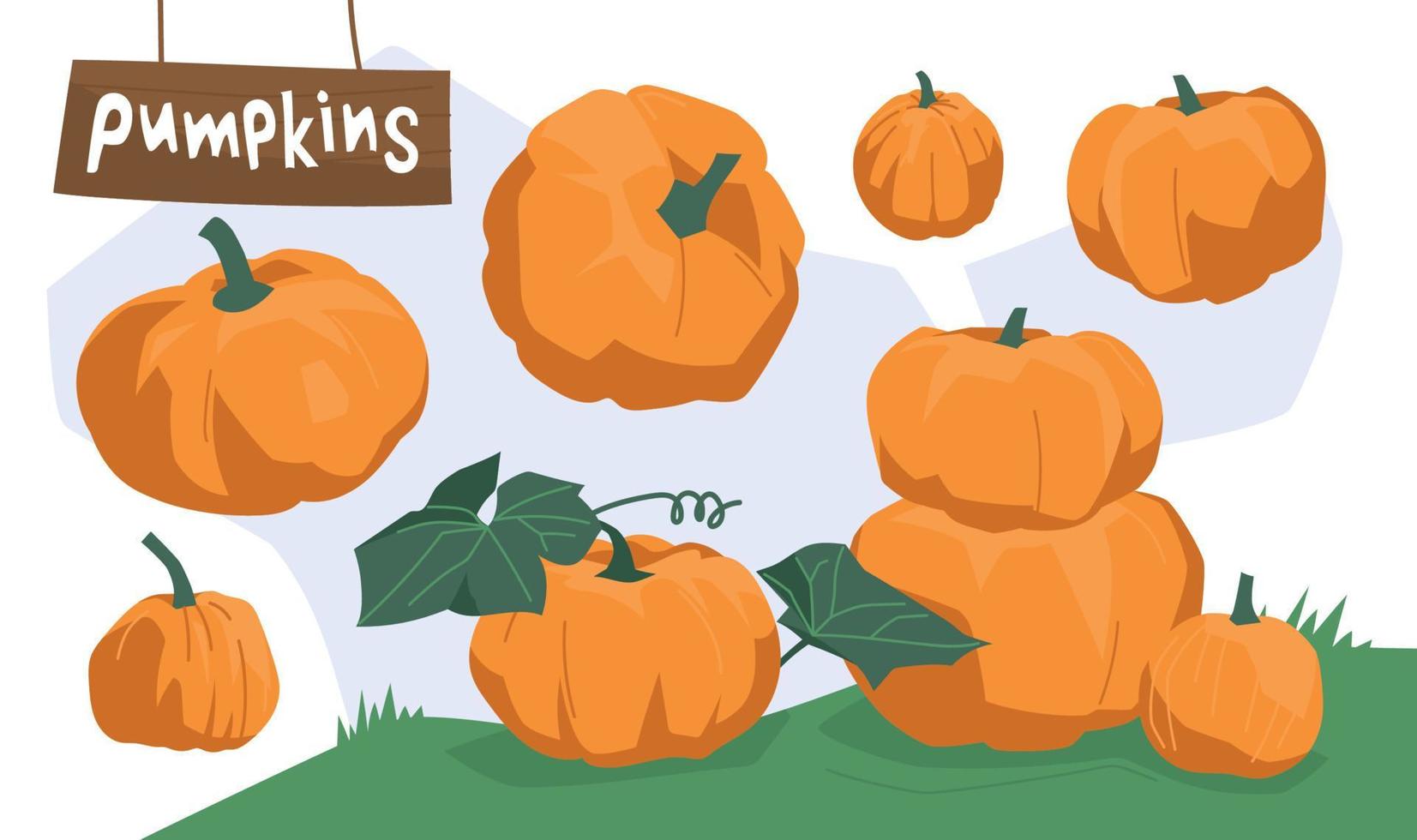 Pumpkins, a set of images. Autumn fair. Vector illustration.