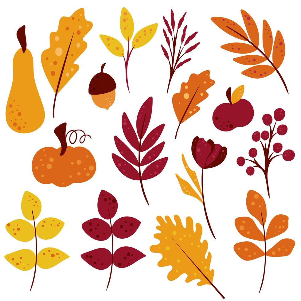 conjunto dibujado a mano de hojas de otoño, bayas, calabazas, manzana y bellota vector