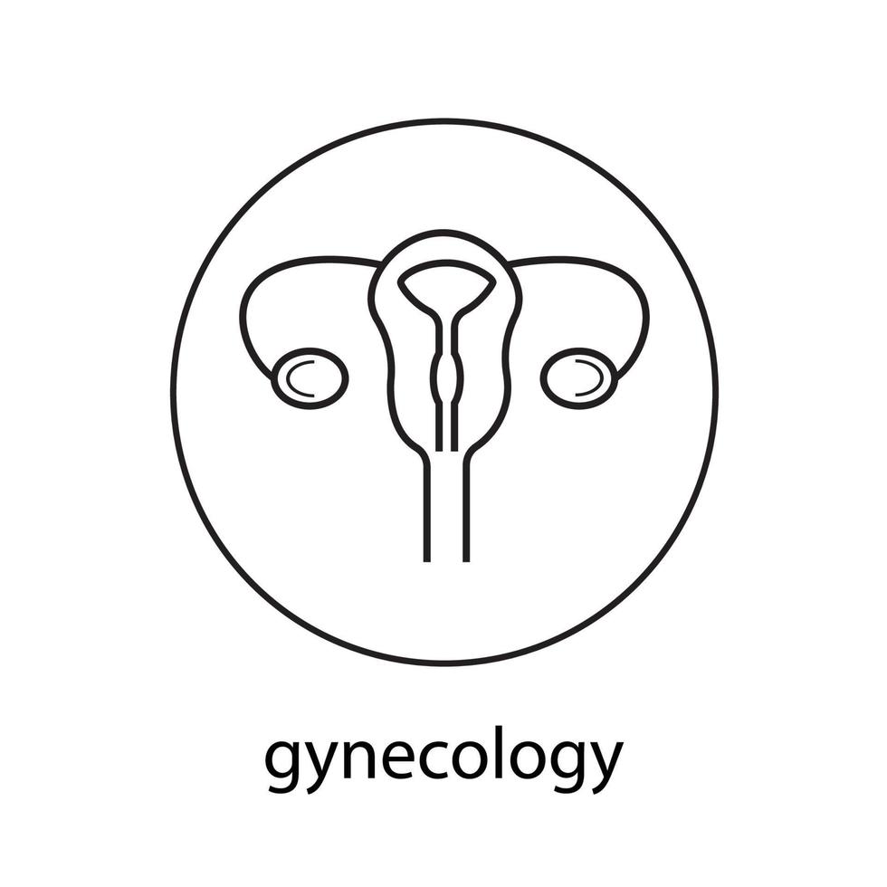 Line icon gynecology vector