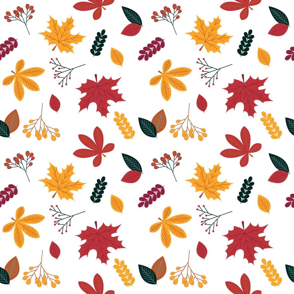 Autumn leaves seamless pattern on white background. Vector. vector