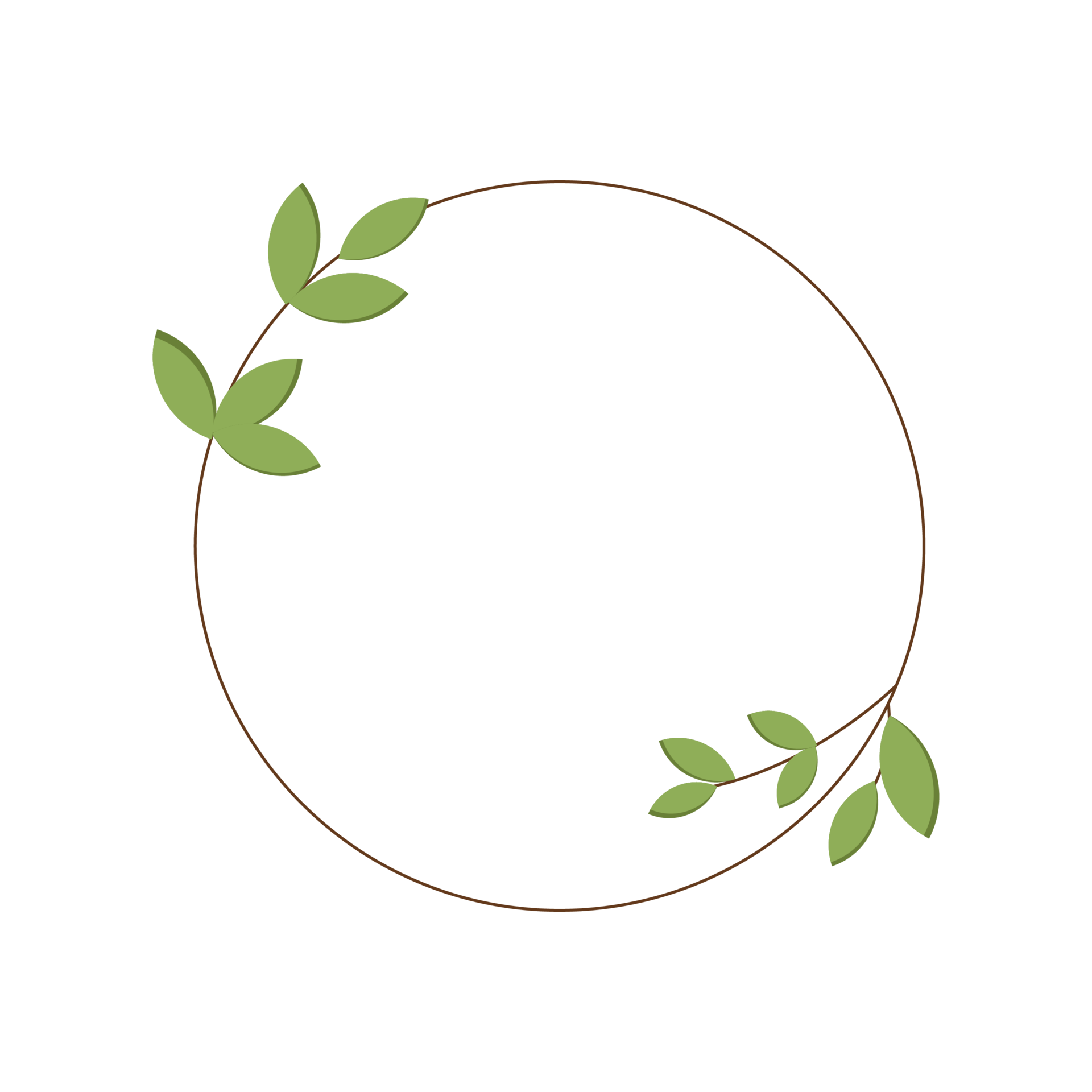 Free Minimalist wreath flower in round illustration design 11618459 PNG ...