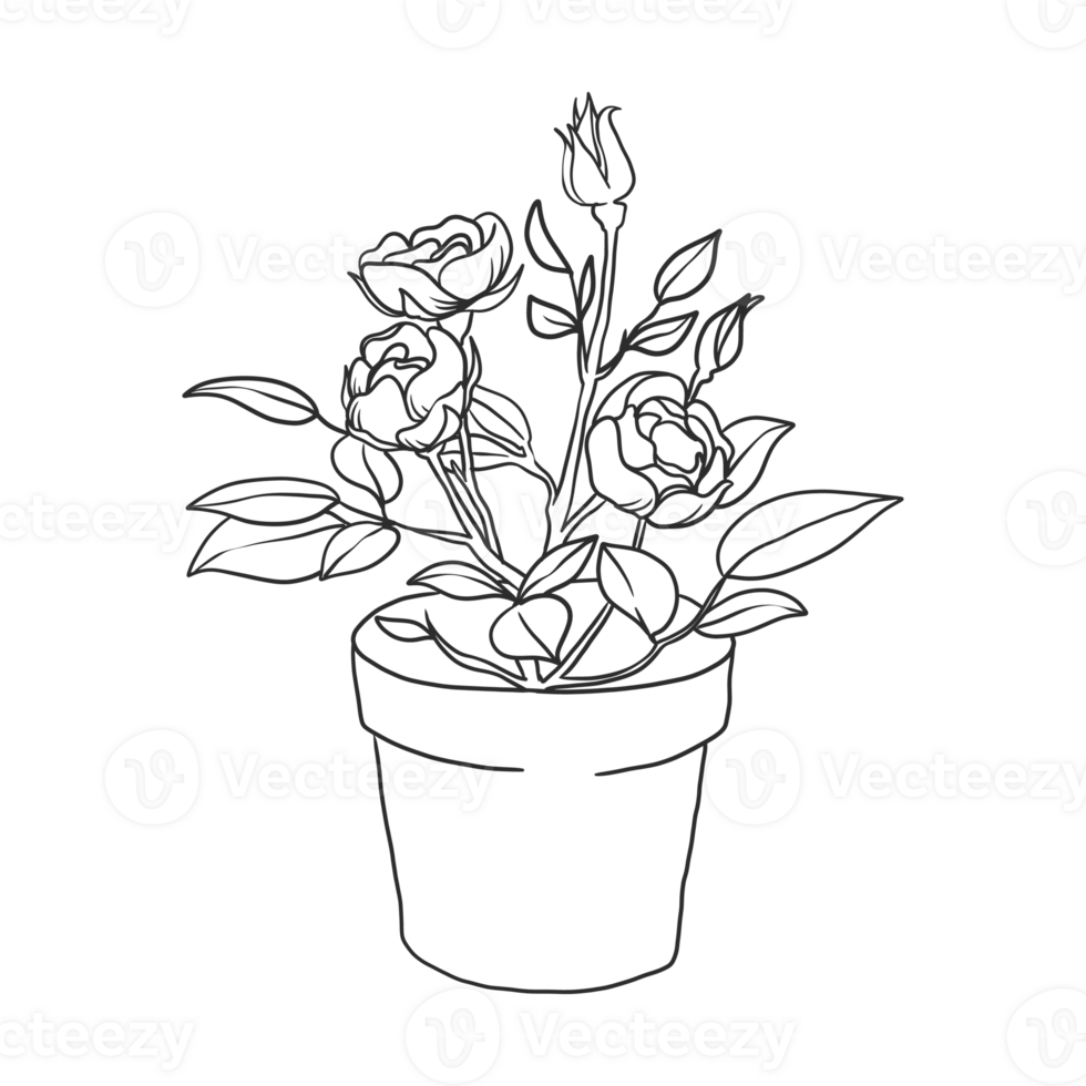 House Plant Illustration 11618581 PNG house-plant-illustration-11618581-png