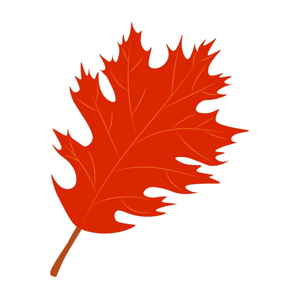 Autumn Leaves Vector Illustration. Autumn leaves. Top view of fall tree leaf. Flat vector