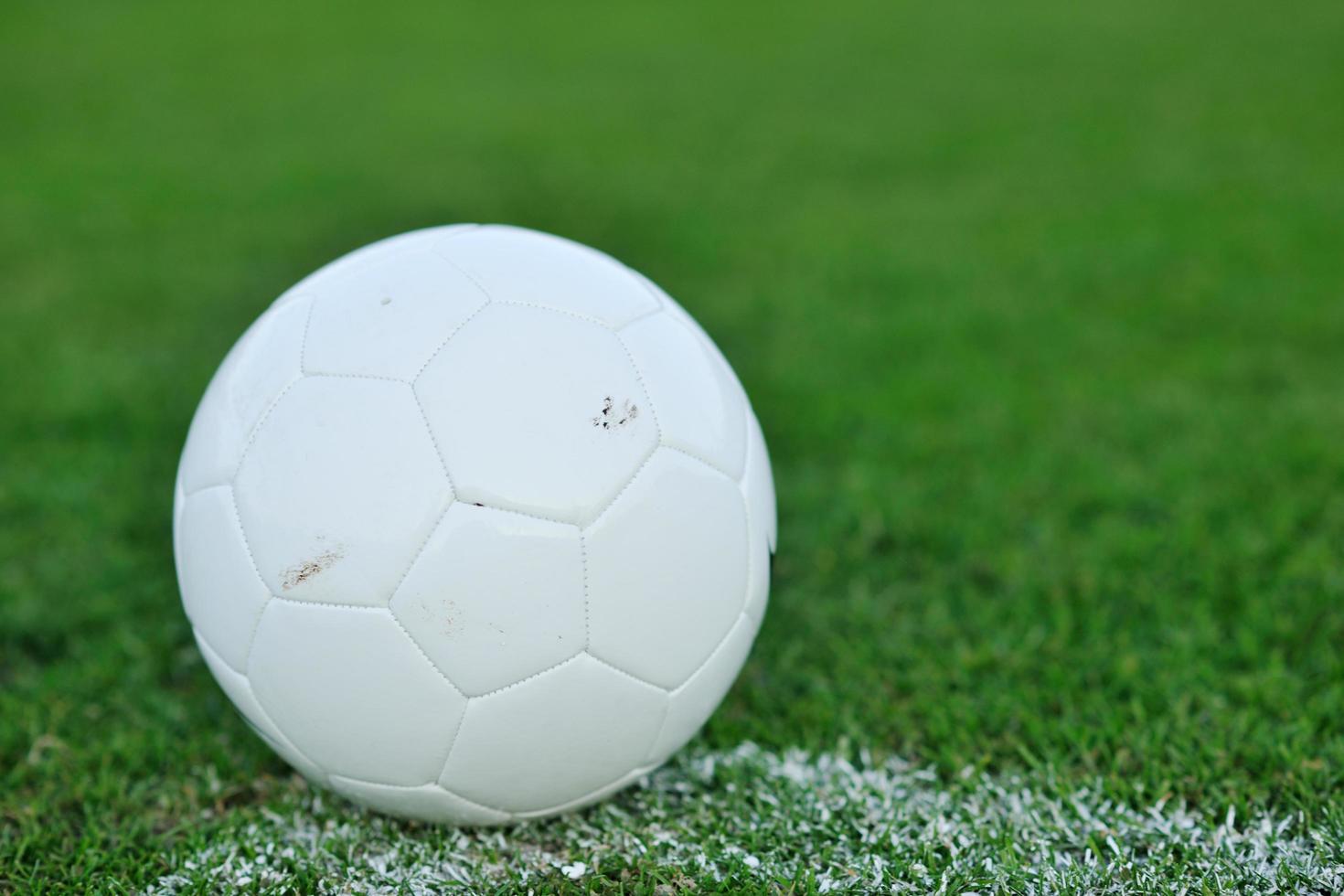 Balón de fútbol sobre el césped en el gol y el estadio en segundo plano. foto