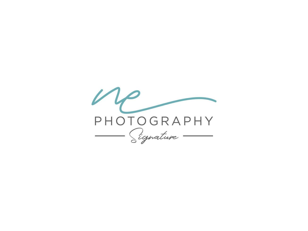 Letter NE Signature Logo Template Vector