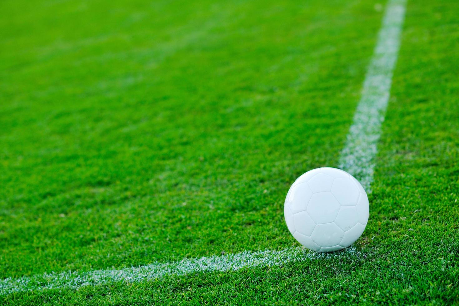 Balón de fútbol sobre el césped en el gol y el estadio en segundo plano. foto