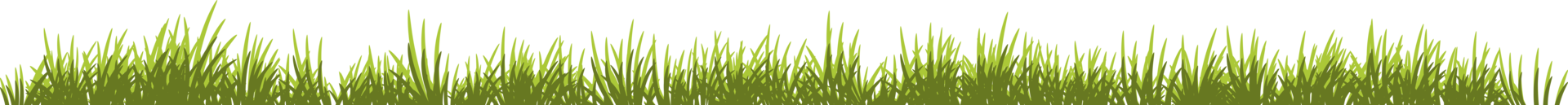 Grasbanner. langes Graß png