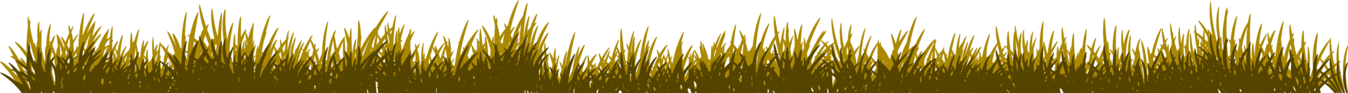 grass banner. long grass png