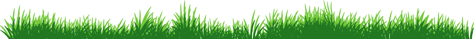 grass banner. long grass png