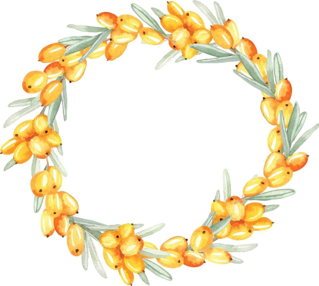 Watercolor sea buckthorn wreath vector