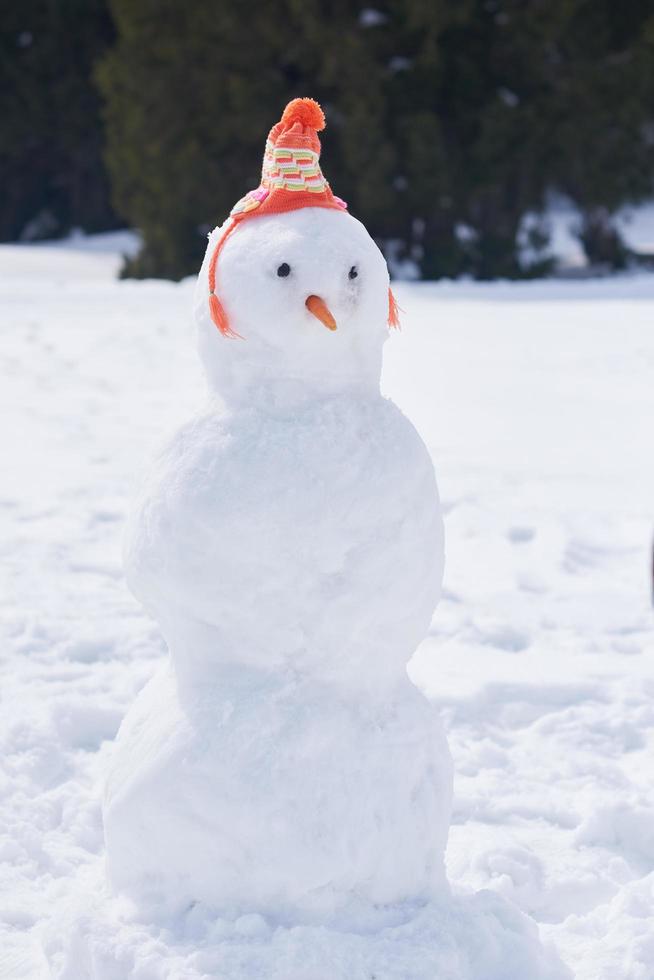 Winter snowman view photo