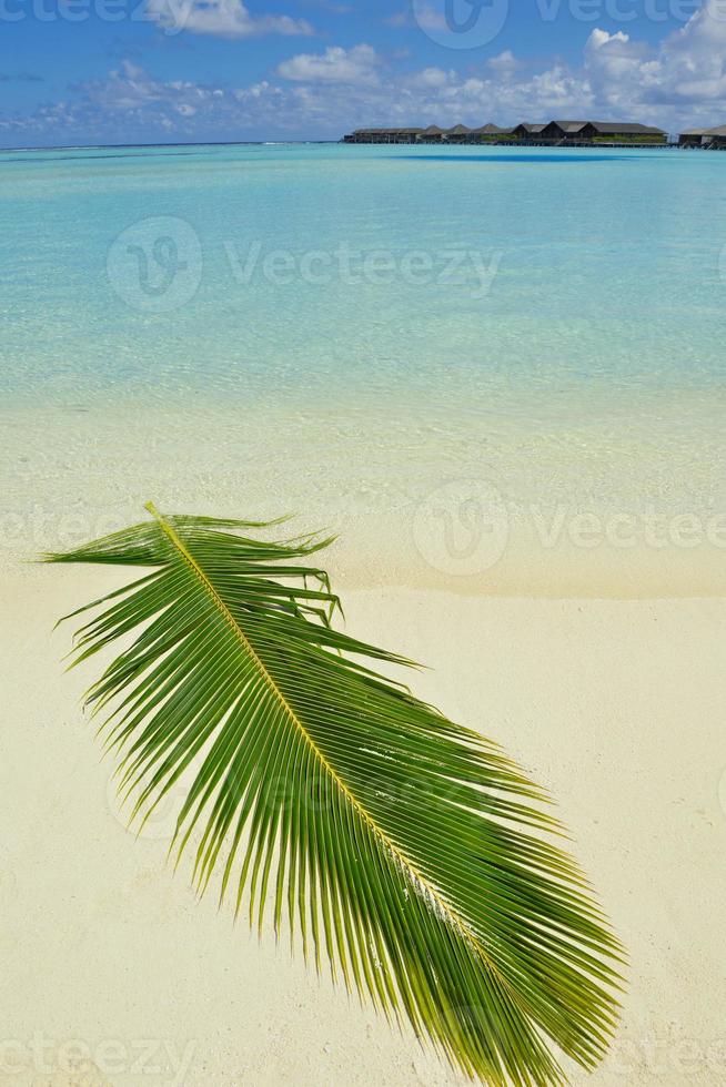 Tropical beach view photo