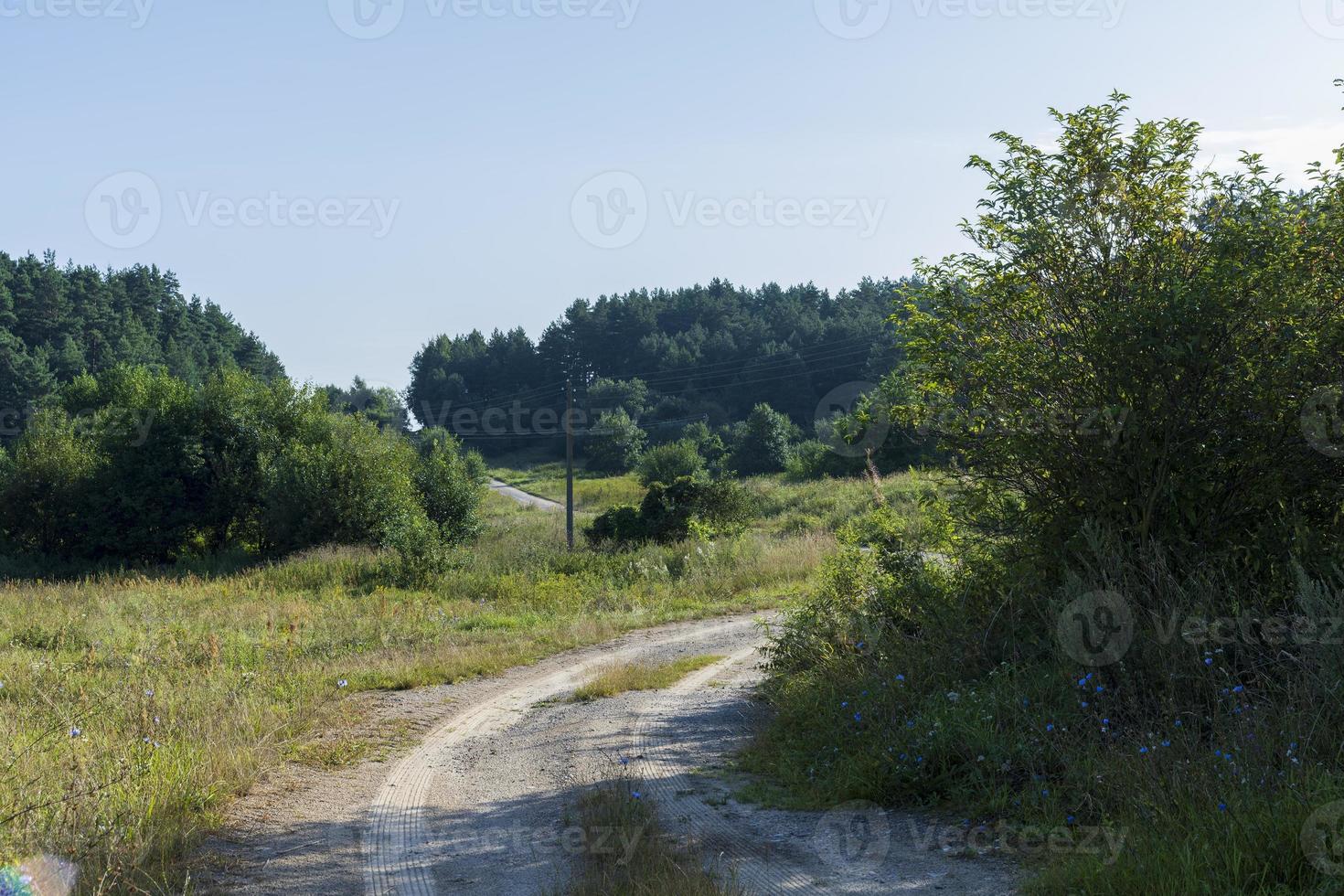 Rural road for cars and transport photo