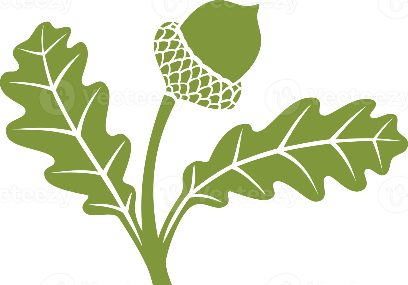 Acorn with Leaf Illustration png