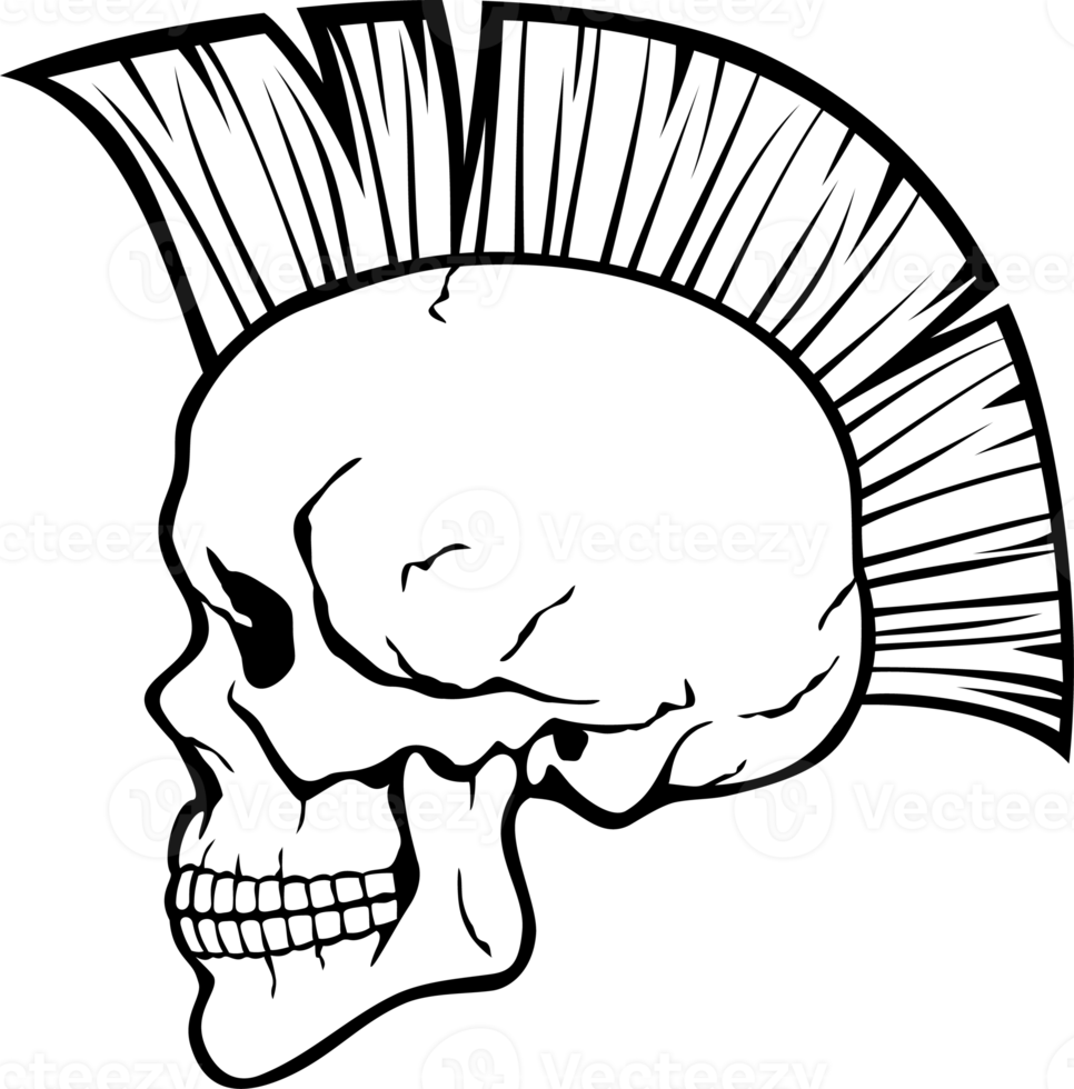 Mohawk Skull Illustration png