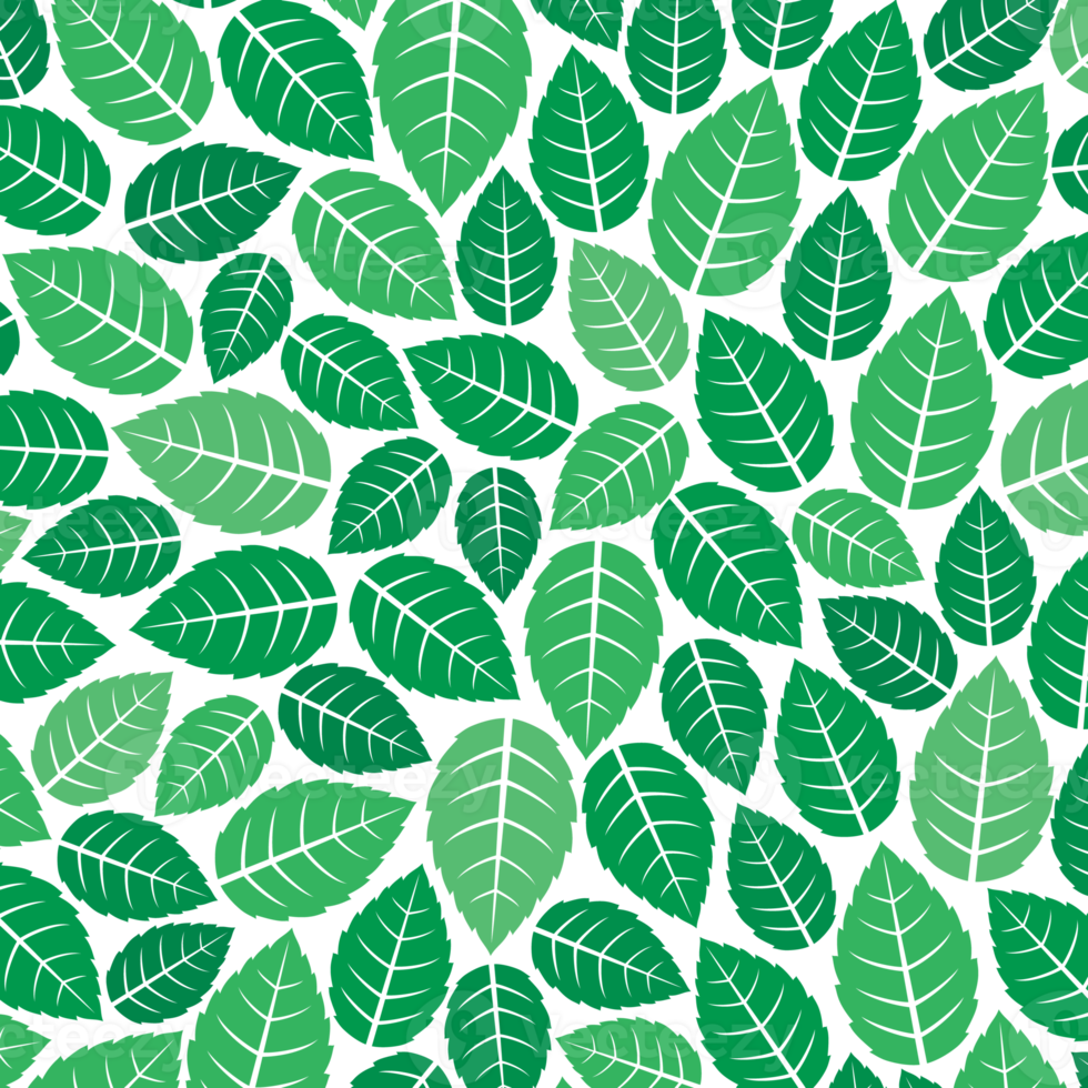 padrão de fundo com ilustração de folhas de hortelã fresca png