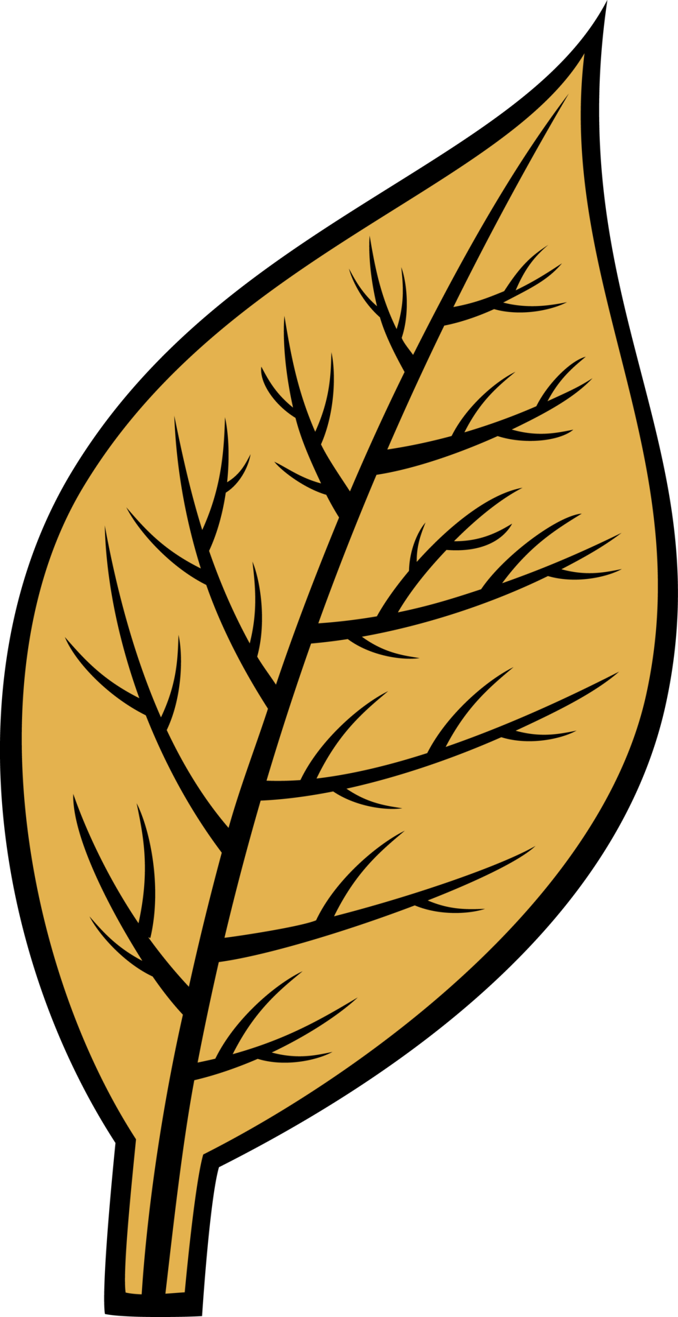 Tobacco Leaf Illustration 11630241 PNG