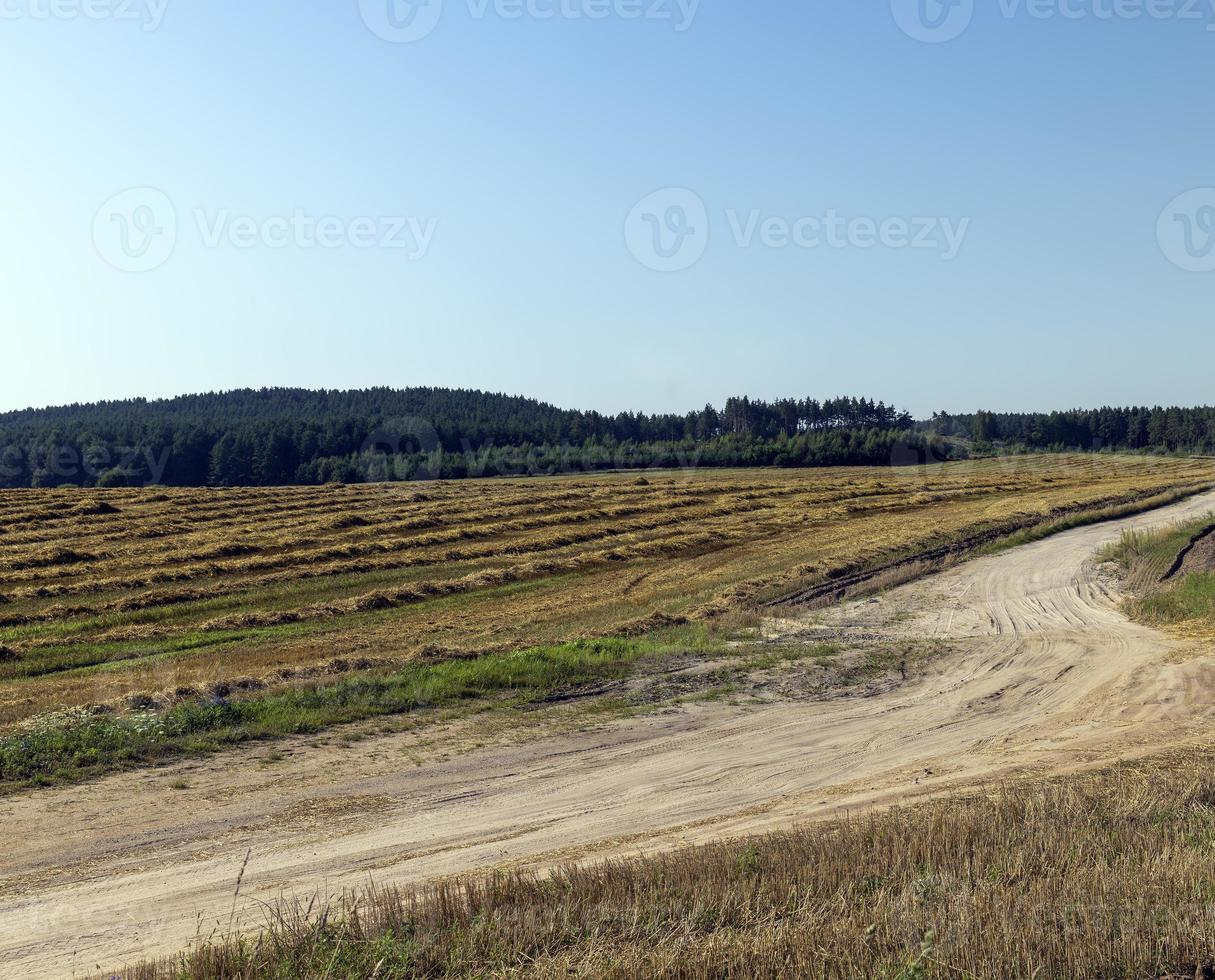 Rural road for cars and transport photo