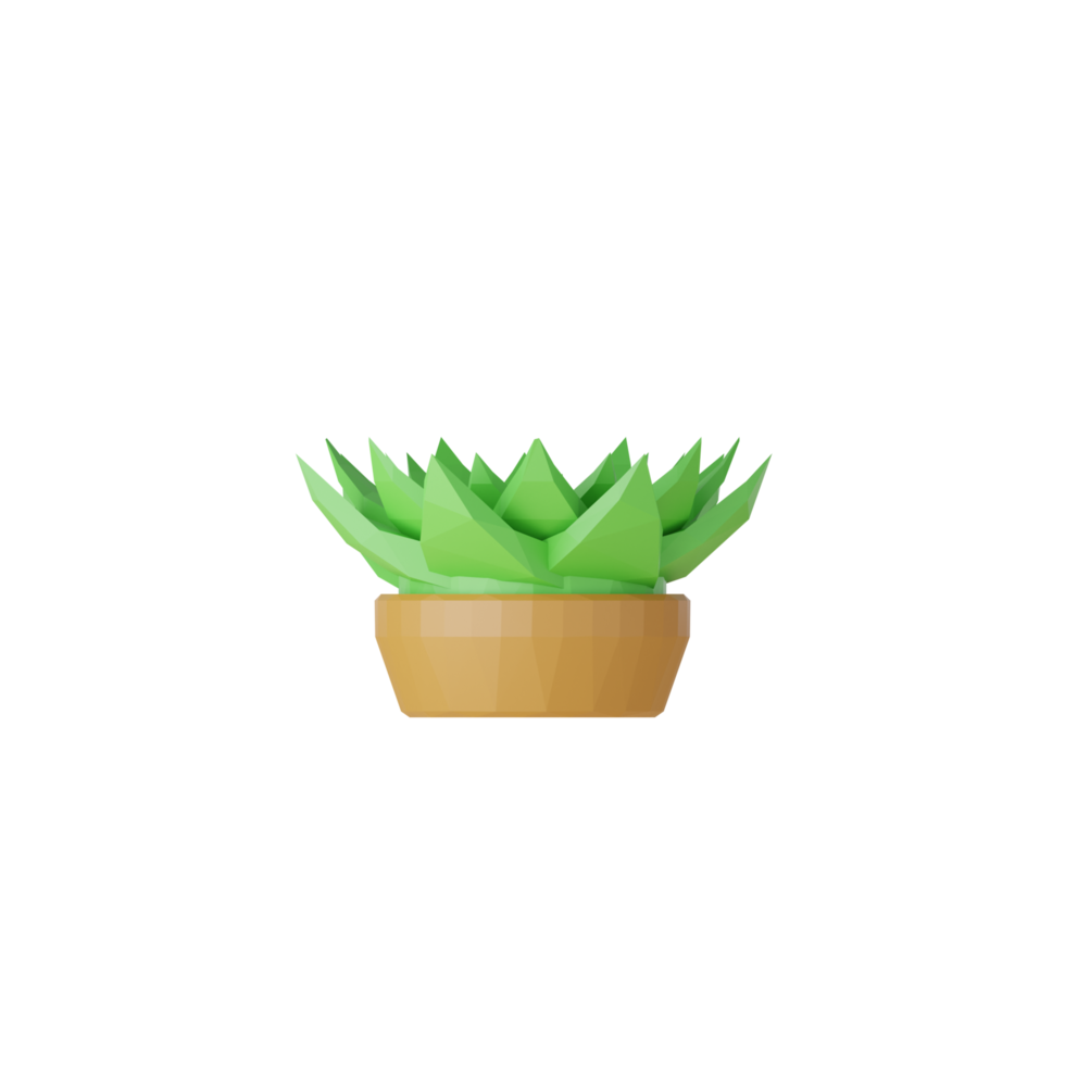 3D Isolated Plants In Pots png