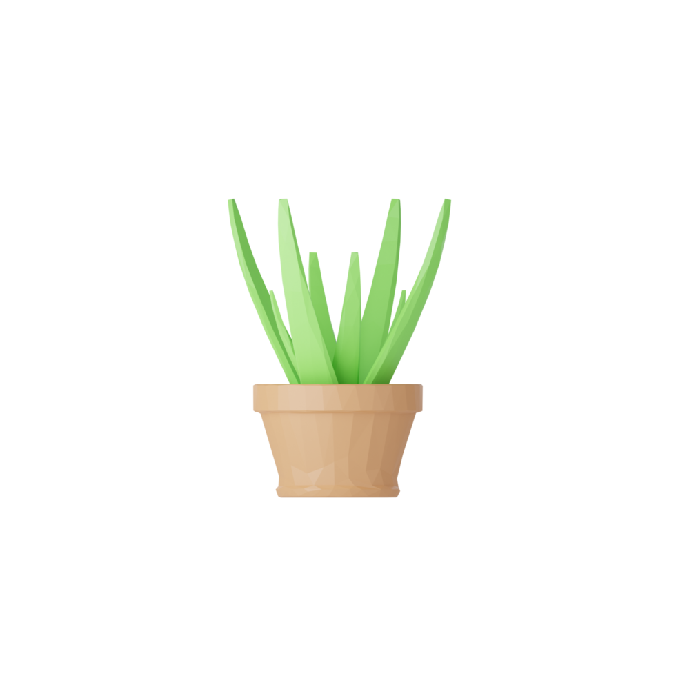 plantas 3D isoladas em vasos png