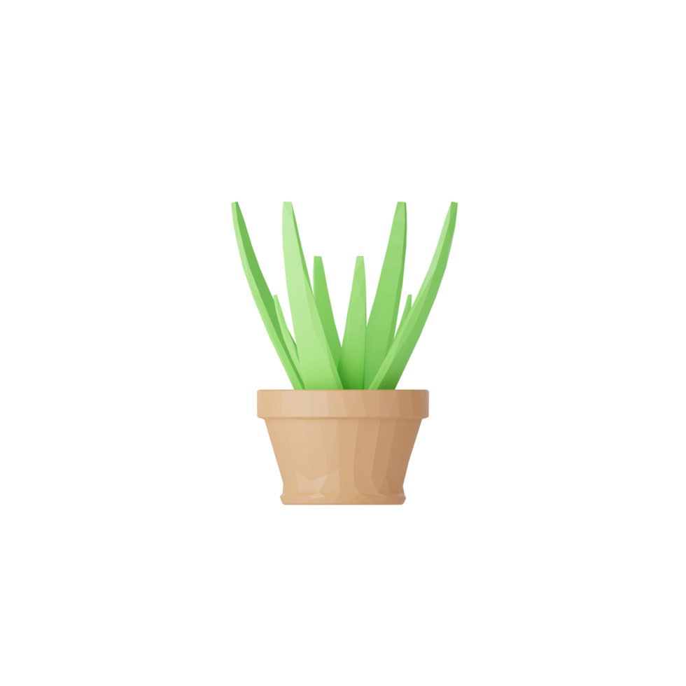 3D Isolated Plants In Pots png