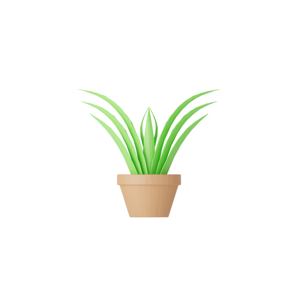 3d geïsoleerd planten in potten png