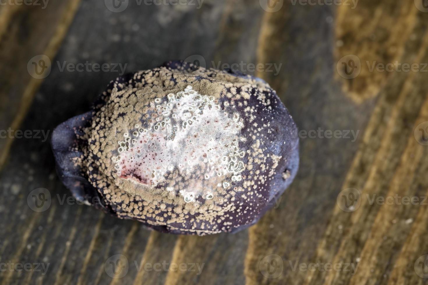 Ripe rotten plums on the kitchen table photo