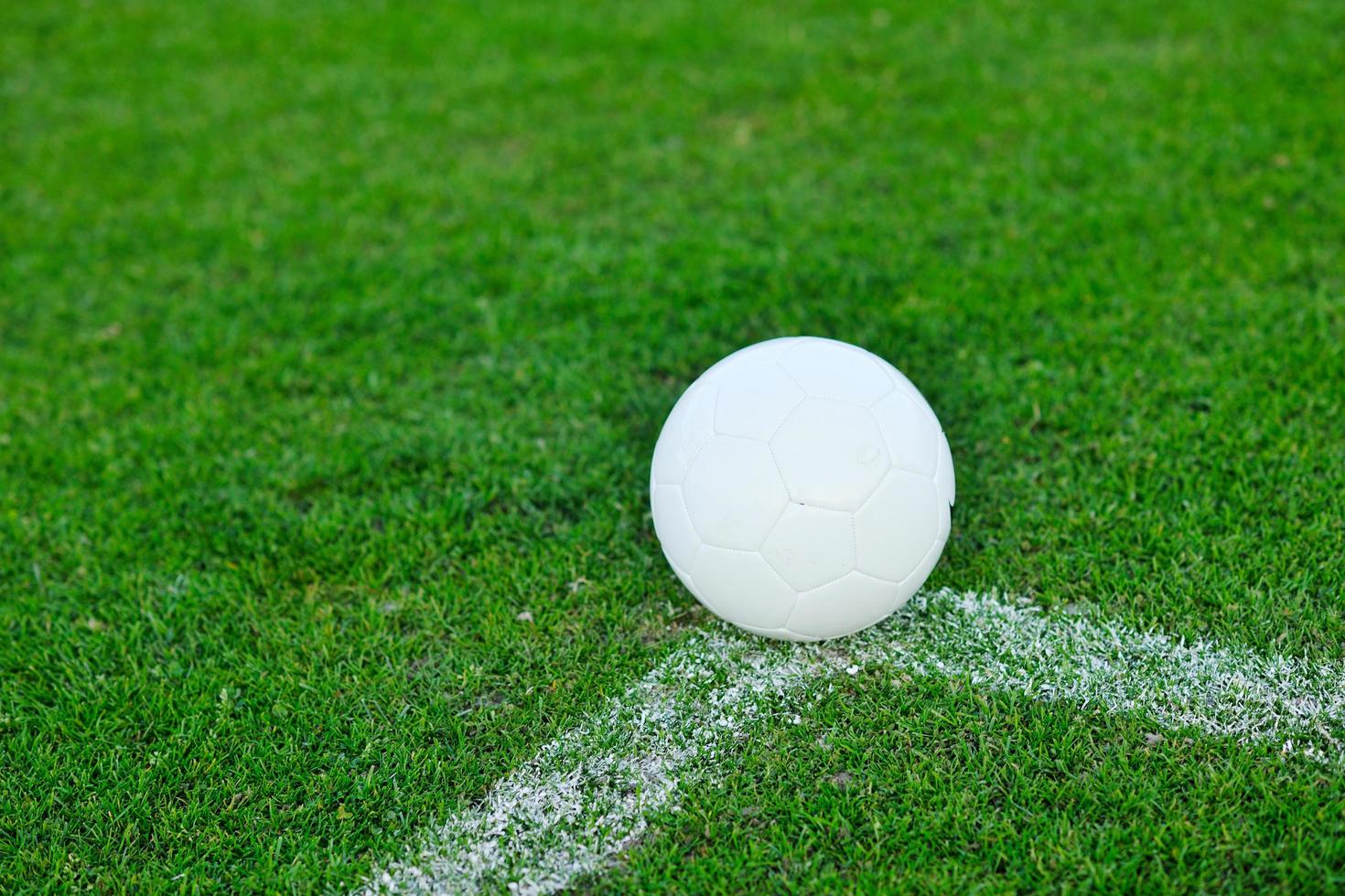 Balón de fútbol sobre el césped en el gol y el estadio en segundo plano. foto