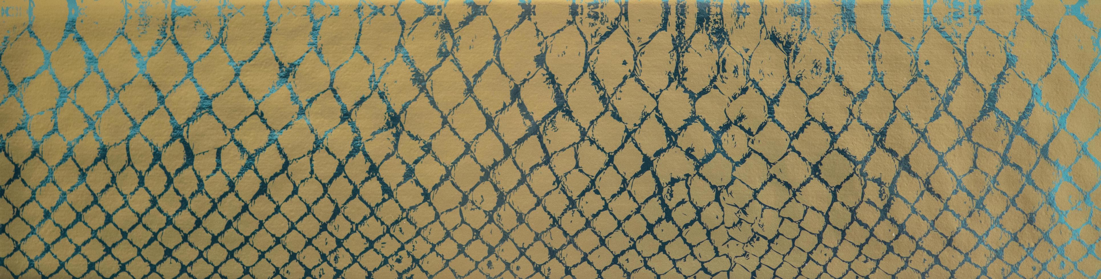 snake skin view photo
