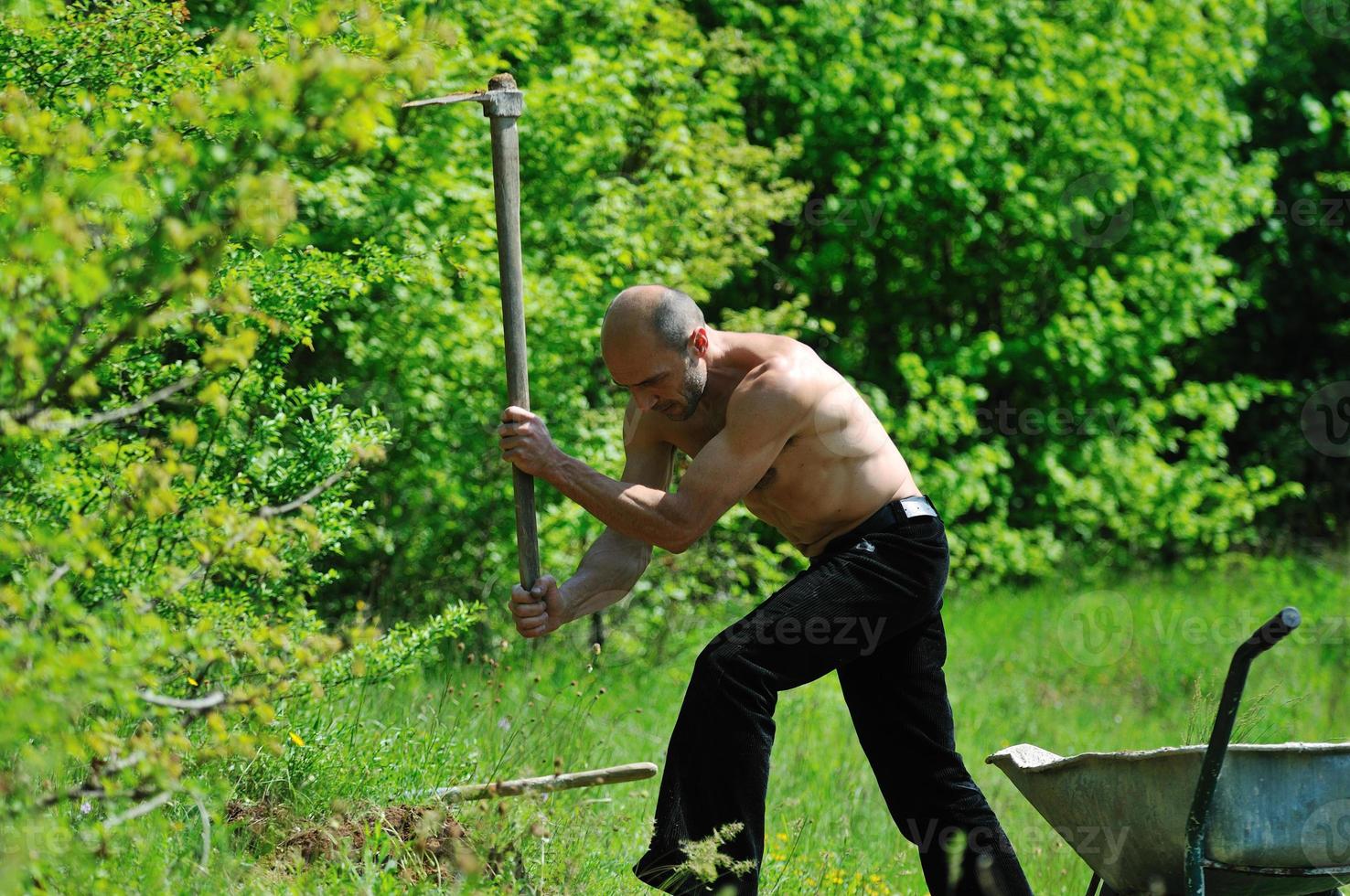 man garden work photo