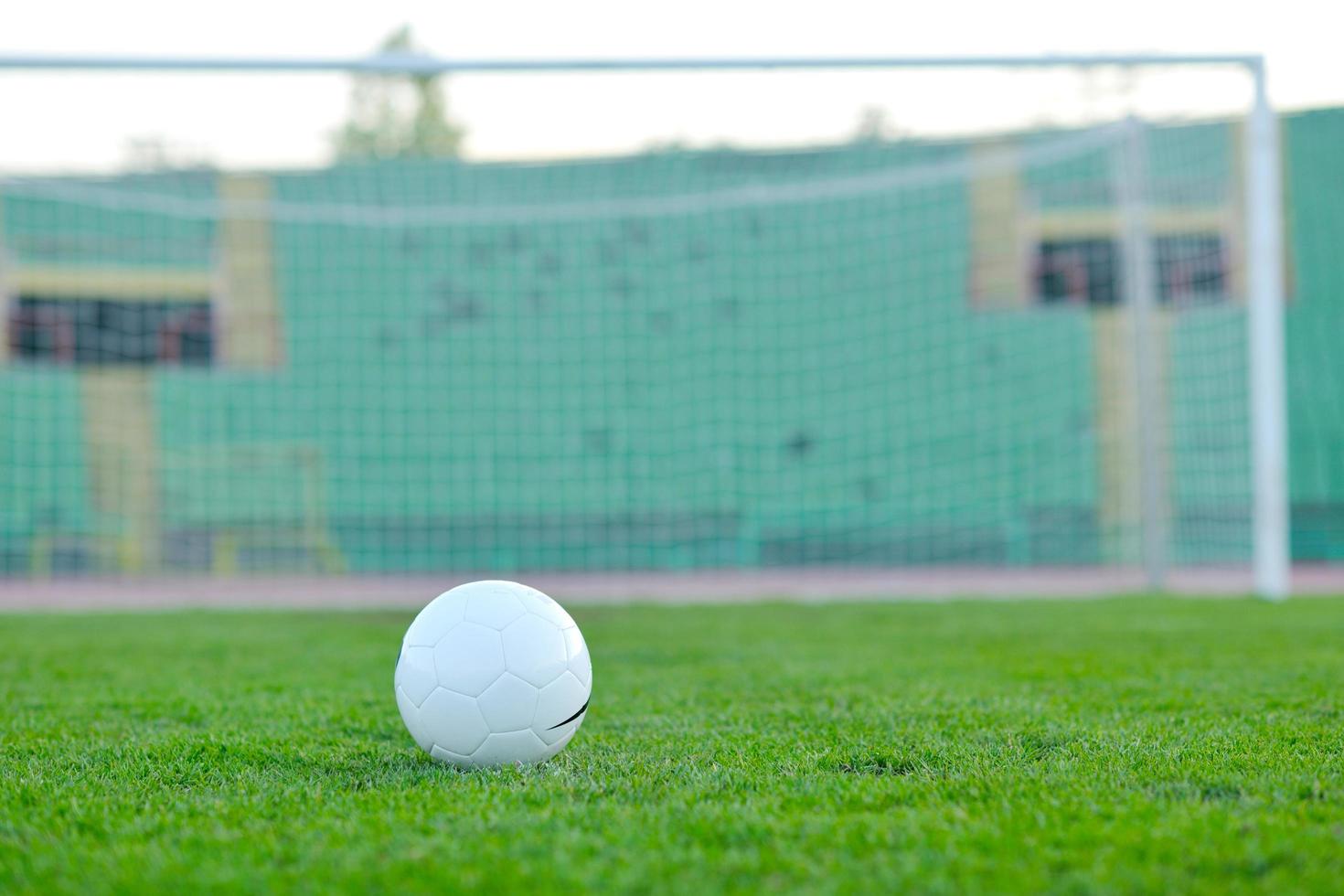 Balón de fútbol sobre el césped en el gol y el estadio en segundo plano. foto