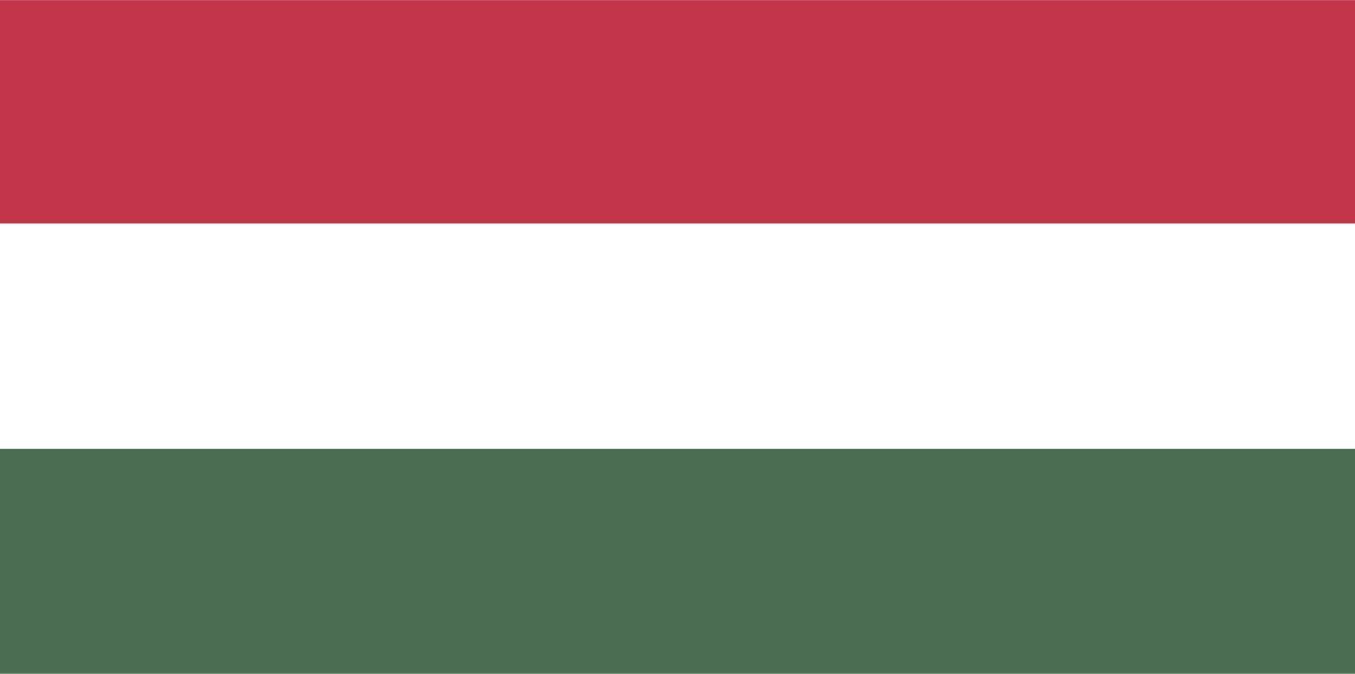 Hungarian Flag hand drawn,Hungarian forint hand drawn vector