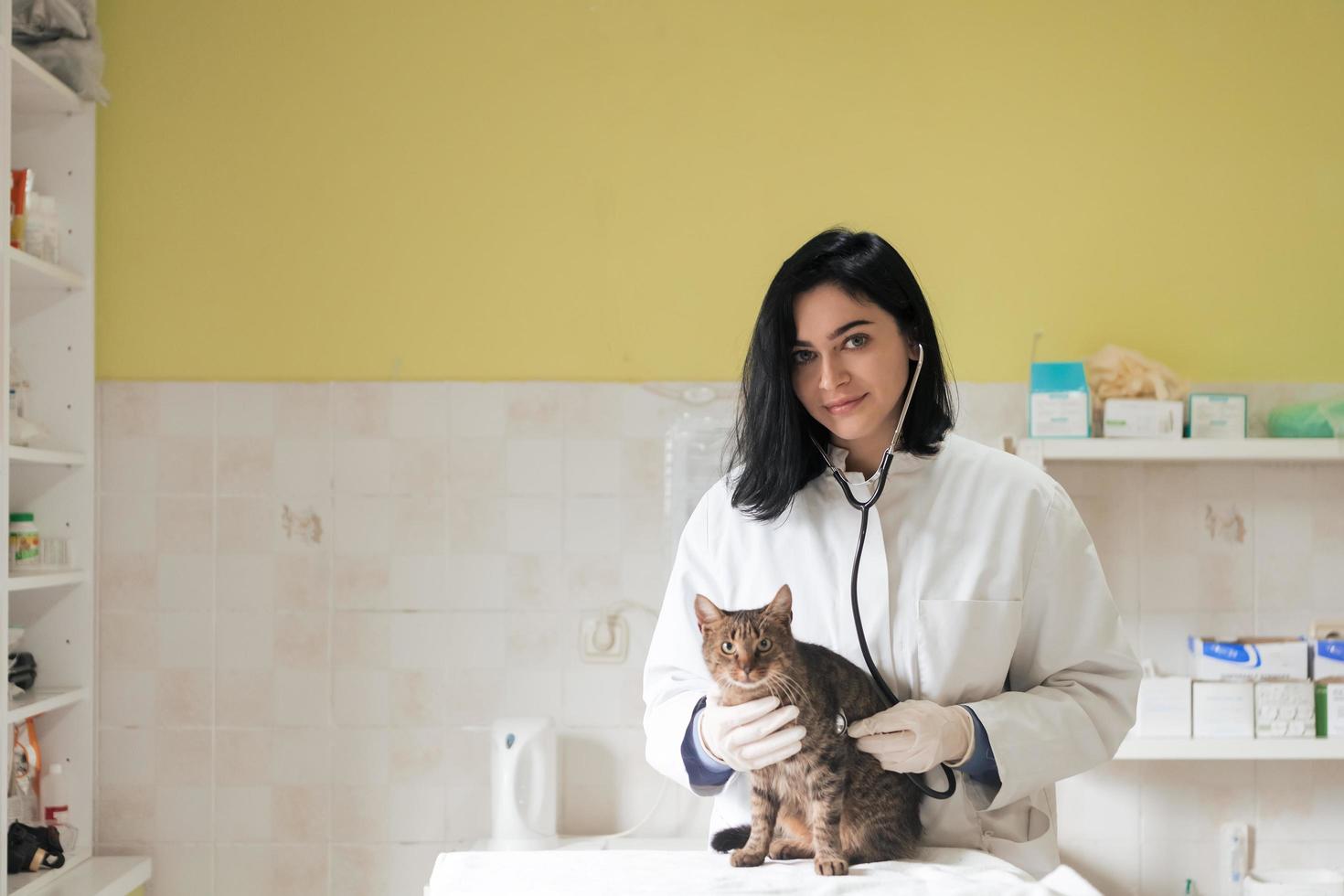 clínica veterinaria. retrato de una doctora en el hospital de animales sosteniendo un lindo gato enfermo foto