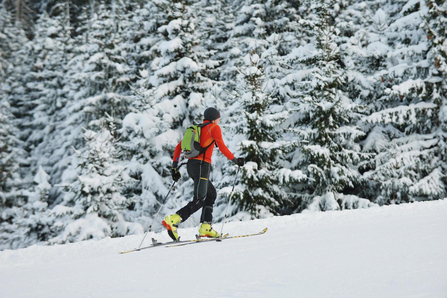 winter  people fun and ski photo